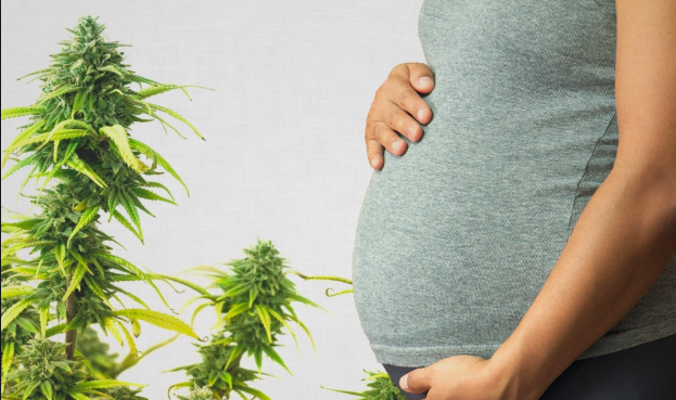 Cannabis ‘n’ Pregnancy: To Toke or Not to Toke?